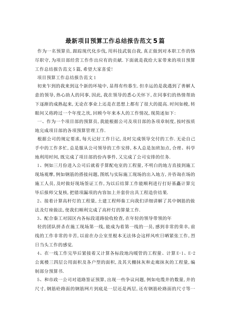 项目预算工作总结报告范文5篇_第1页