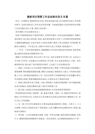 项目预算工作总结报告范文5篇