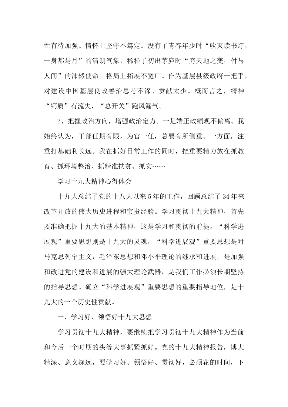 领导干部政治建设个人自查报告_第2页