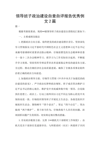 领导班子政治建设自查自评报告优秀例文2篇