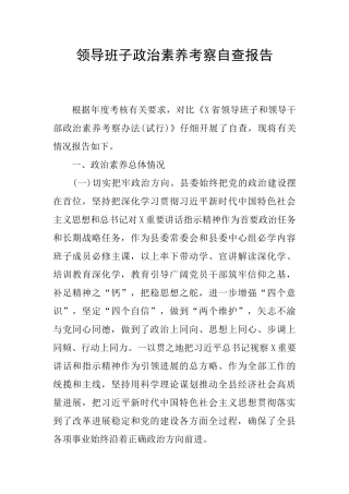 领导班子政治素质考察自查报告