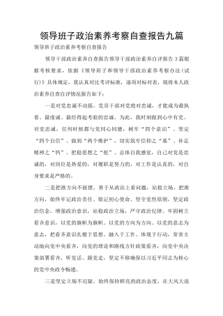 领导班子政治素质考察自查报告九篇