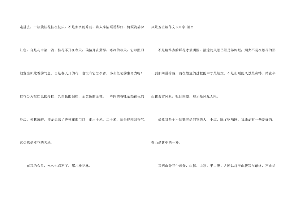 风景五年级300字汇编六篇_第2页