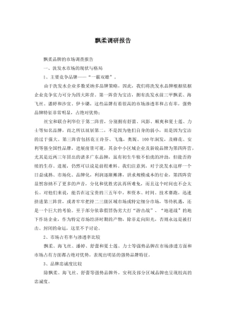 飘柔调研报告