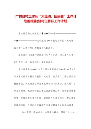 驻村工作队工作计划