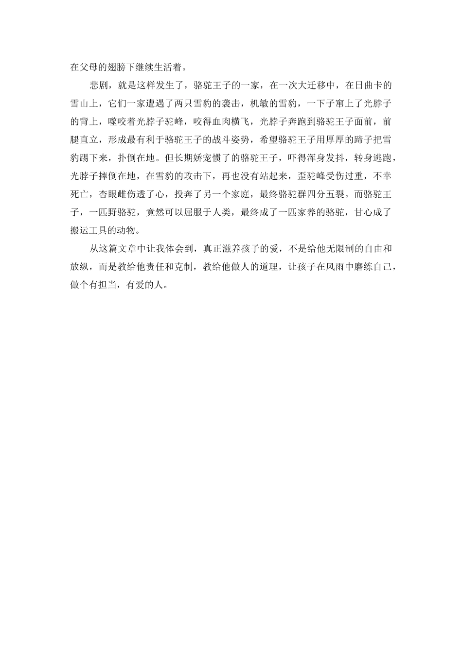 骆驼王子读后感1000字_第2页