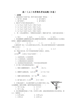 高一(上)化学期末考试试题(B卷)