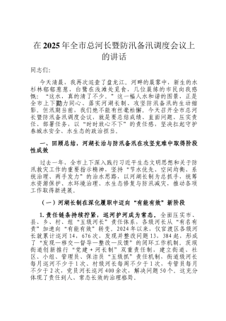在2025年全市总河长暨防汛备汛调度会议上的讲话