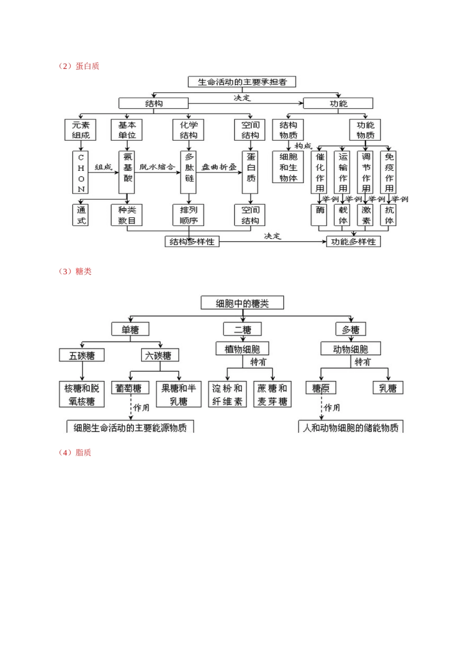 高三生物一轮复习知识结构网络_第3页