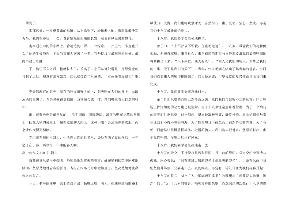 高中600字集锦9篇_第2页