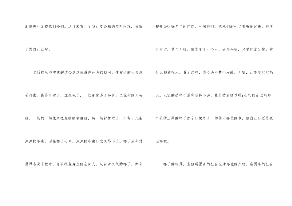 高中《骆驼祥子》读后感800字-4_第2页