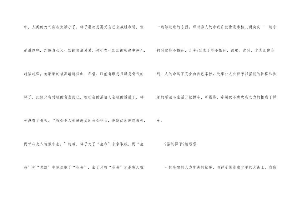 高中《骆驼祥子》读后感800字-4_第3页