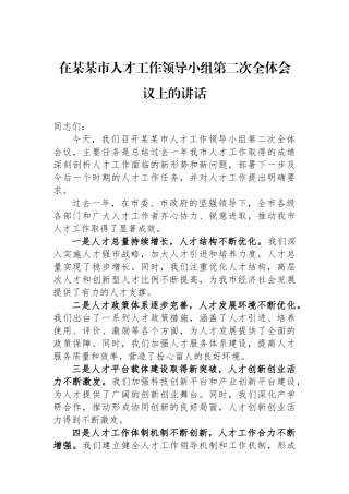 在某某市人才工作领导小组第二次全体会议上的讲话