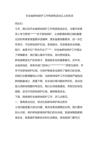 在全省耕地保护工作电视电话会议上的讲话