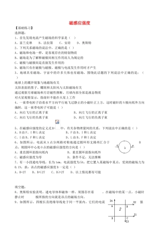高中物理-3.2-磁感应强度同步练习5新人教版选修3-1