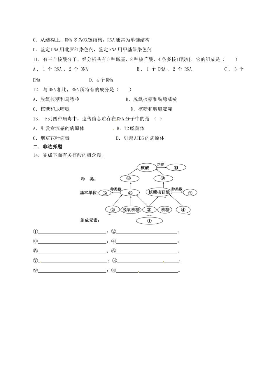 高中物理23-遗传信息的携带者核酸习题-新人教版必修1_第2页