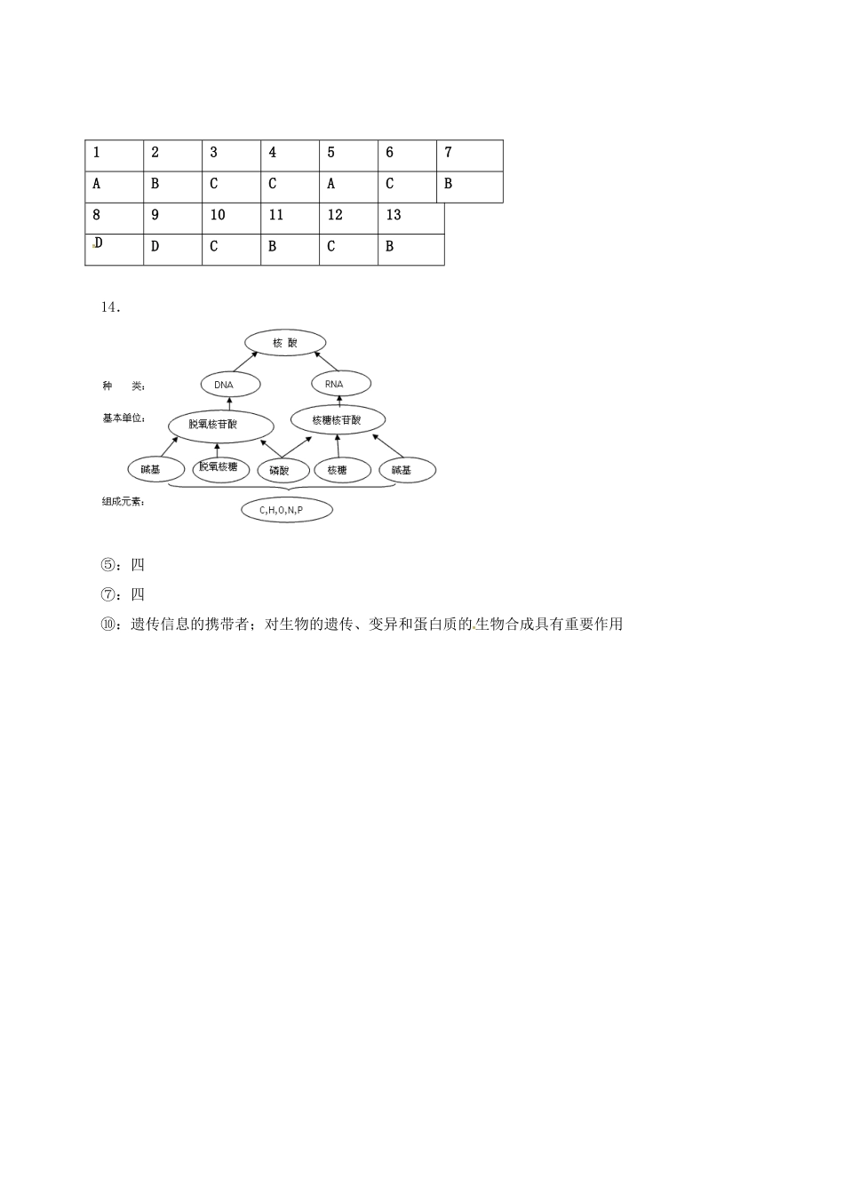 高中物理23-遗传信息的携带者核酸习题-新人教版必修1_第3页