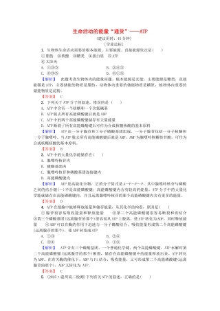 高中生物--光合作用和细胞呼吸--ATP和酶时生命活动的能量通货——ATP学业分层测评-苏教版必修1