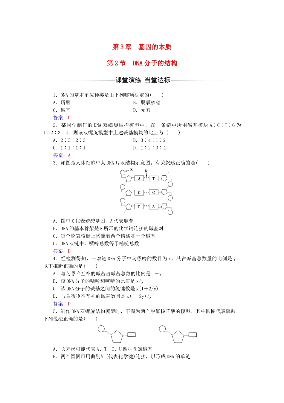高中生物--基因的本质--DNA分子的结构检测试题-新人教版必修2_第1页