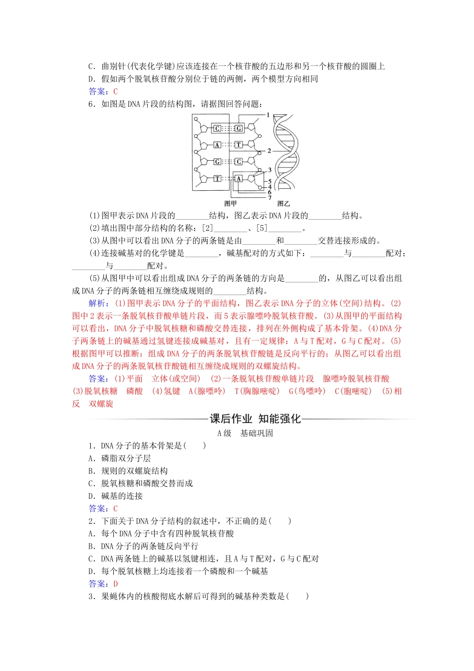高中生物--基因的本质--DNA分子的结构检测试题-新人教版必修2_第2页
