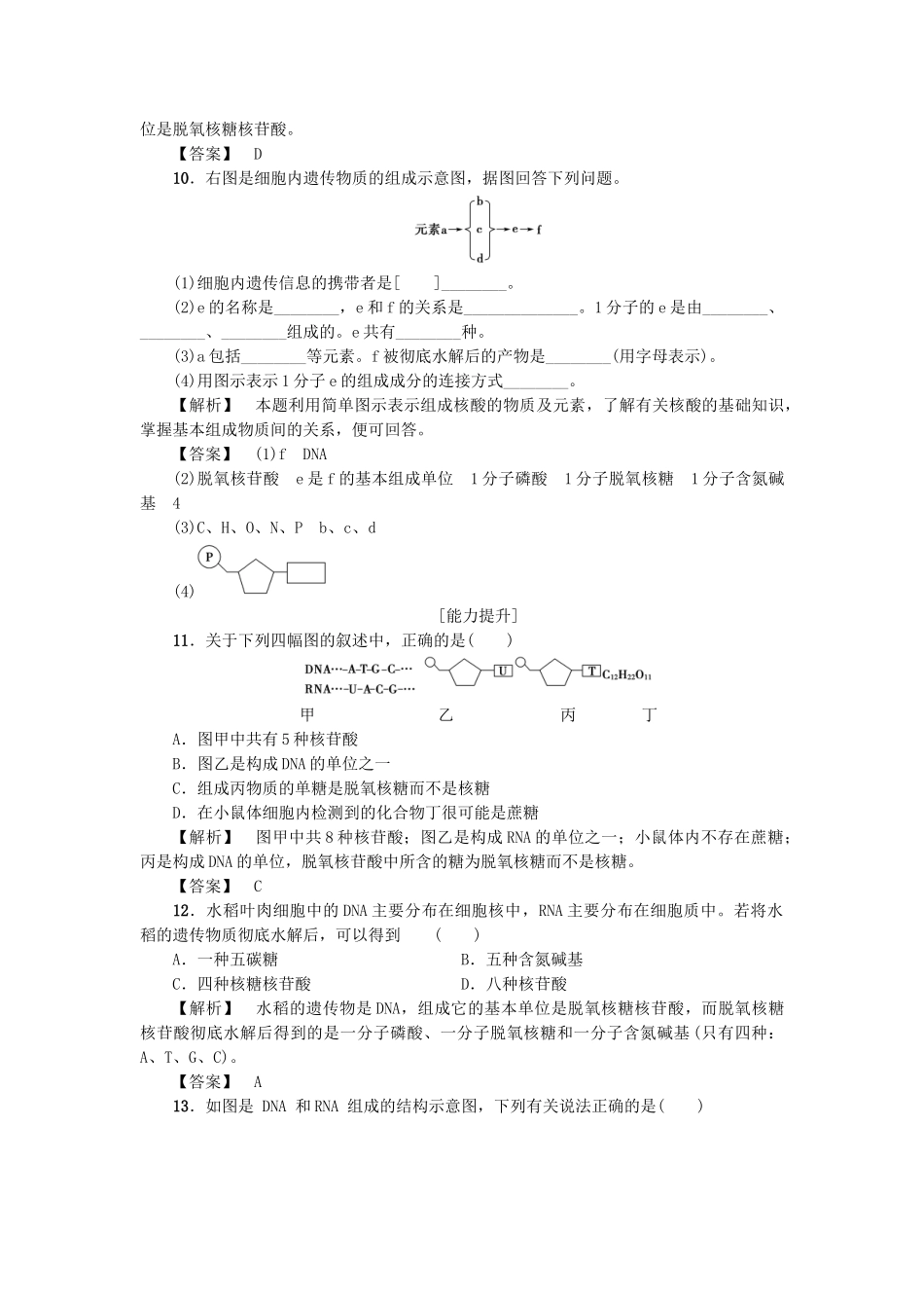 高中生物--细胞份化学组成--细胞中的生物大分子时核酸的结构和功能学业分层测评-苏教版必修1_第3页