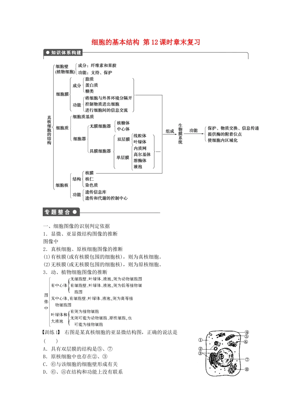 高中生物--细胞的基本结构-末复习-新人教版必修1_第1页