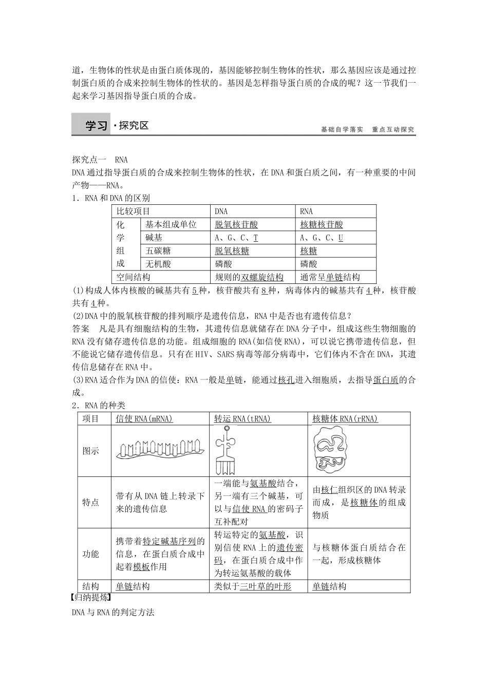高中生物-第四章-第18课时-基因指导蛋白质的合成课时作业-新人教版必修2_第2页