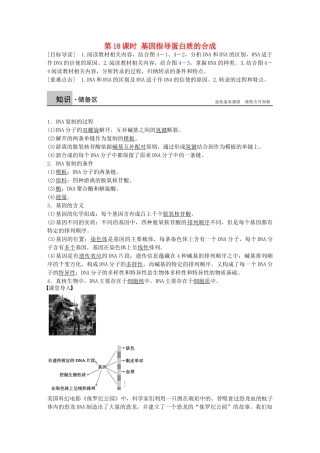 高中生物-第四章-第18课时-基因指导蛋白质的合成课时作业-新人教版必修2
