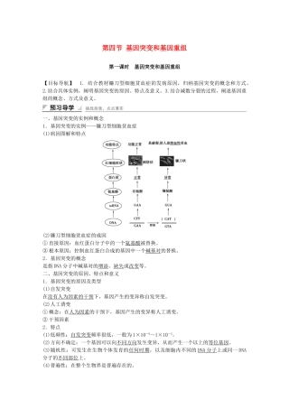 高中生物-第四章-第四节-基因突变和基因重组课时作业-苏教版必修2