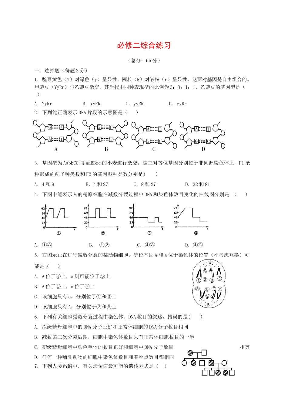 高中生物-遗传与进化综合测试3-新人教版必修21_第1页