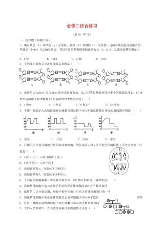 高中生物-遗传与进化综合测试3-新人教版必修21