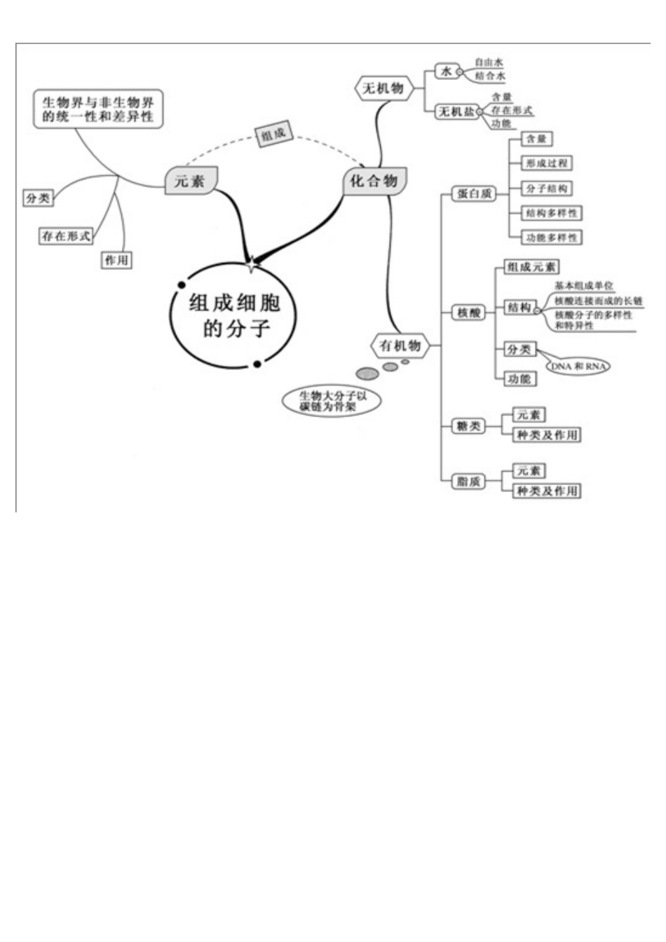 高中生物全套思维导图精编精校版_第1页