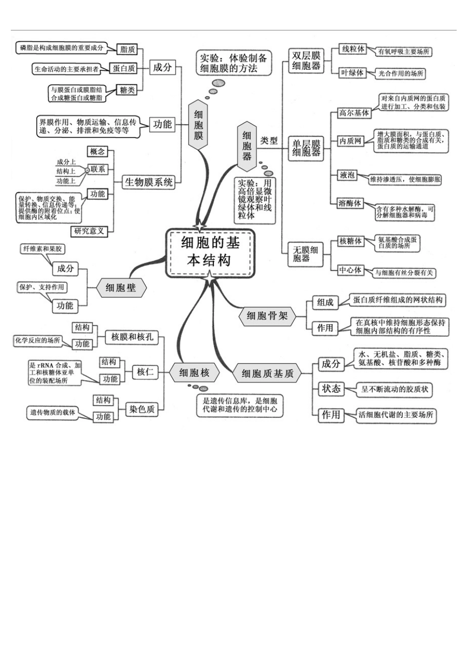 高中生物全套思维导图精编精校版_第2页
