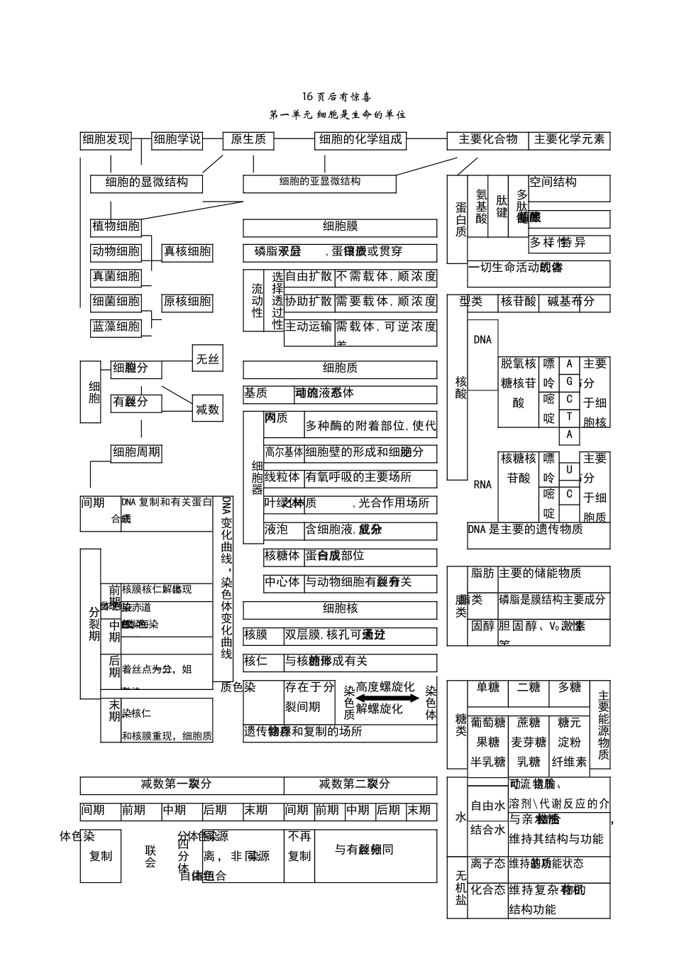 高中生物图解_第1页