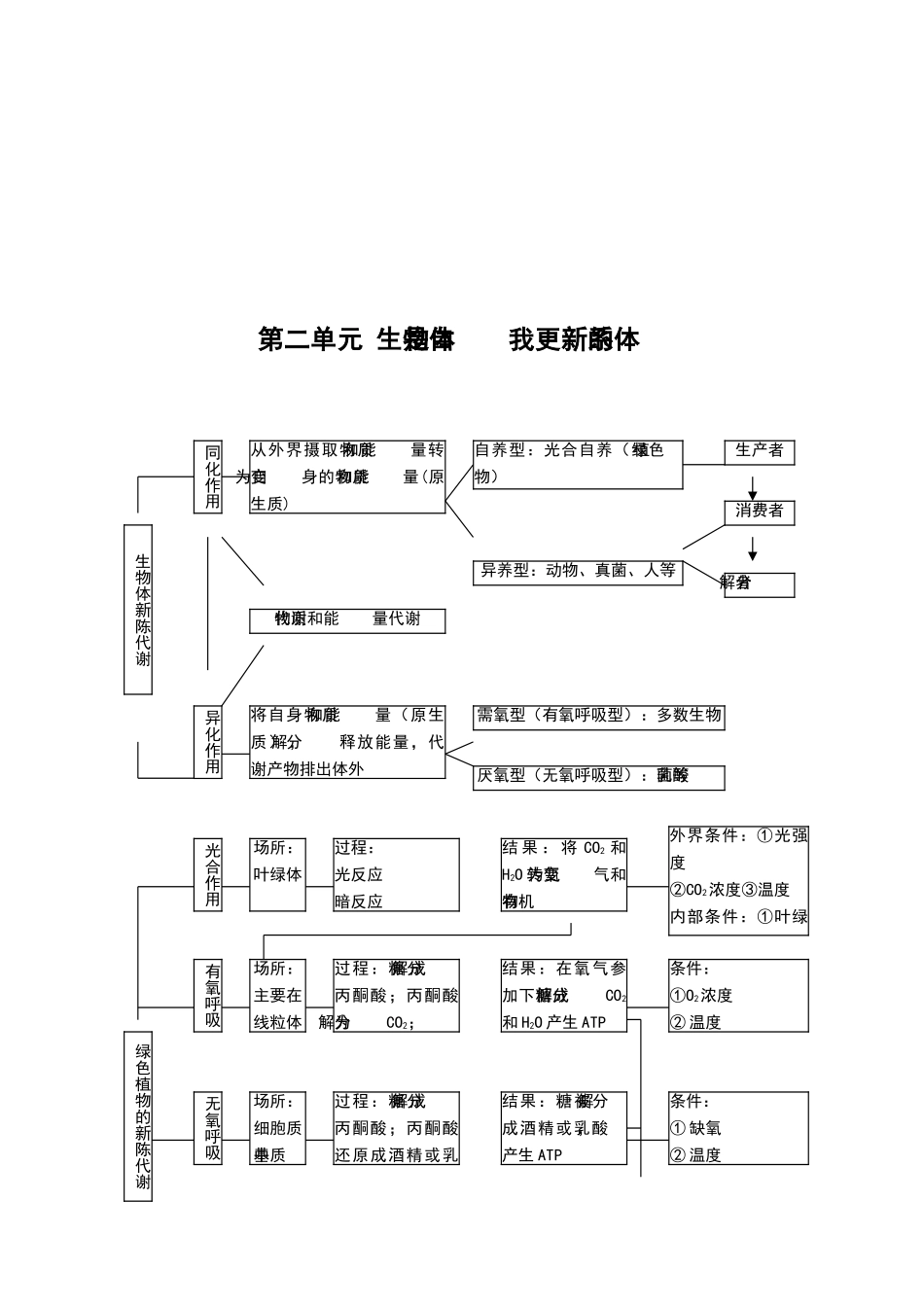 高中生物图解_第3页