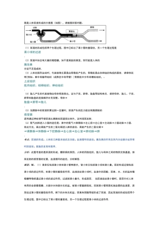 高中生物尿液形成