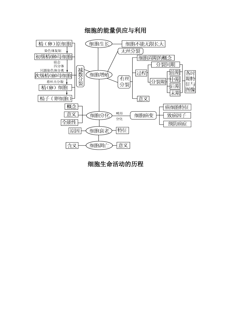 高中生物必修1-3知识网络图_第2页