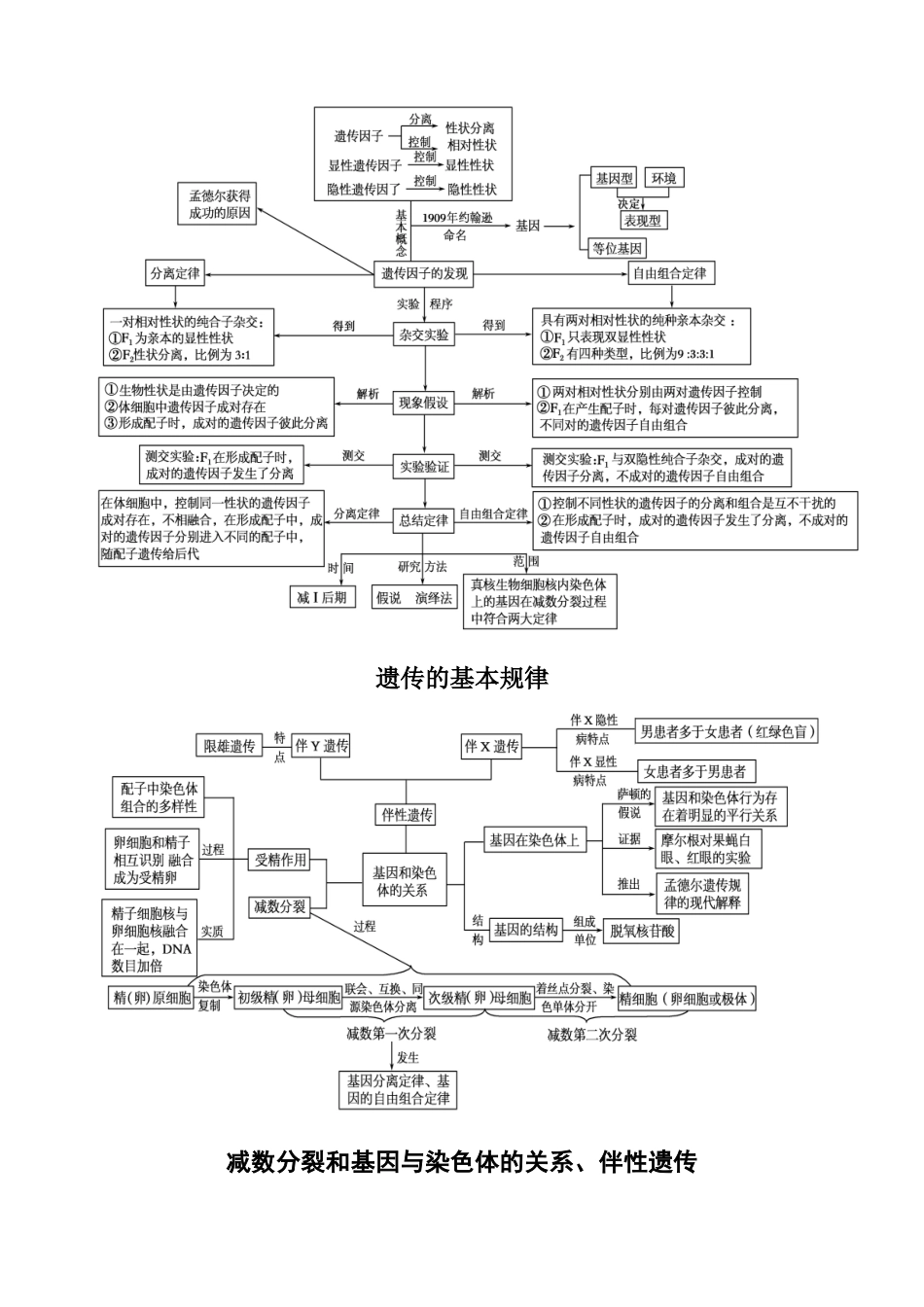 高中生物必修1-3知识网络图_第3页