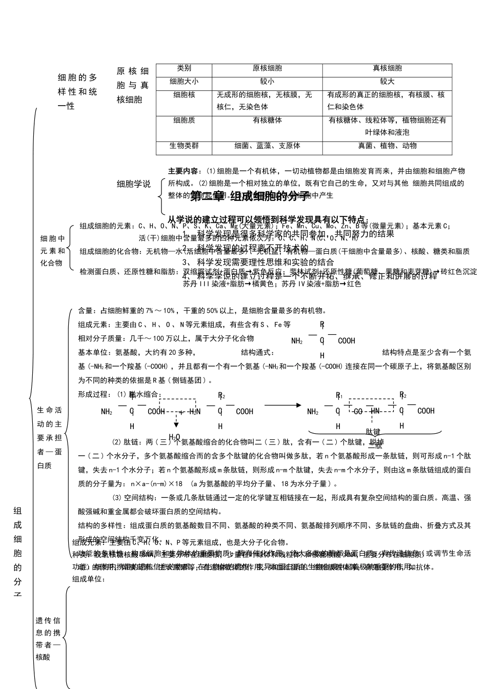 高中生物必修一--知识框架_第2页