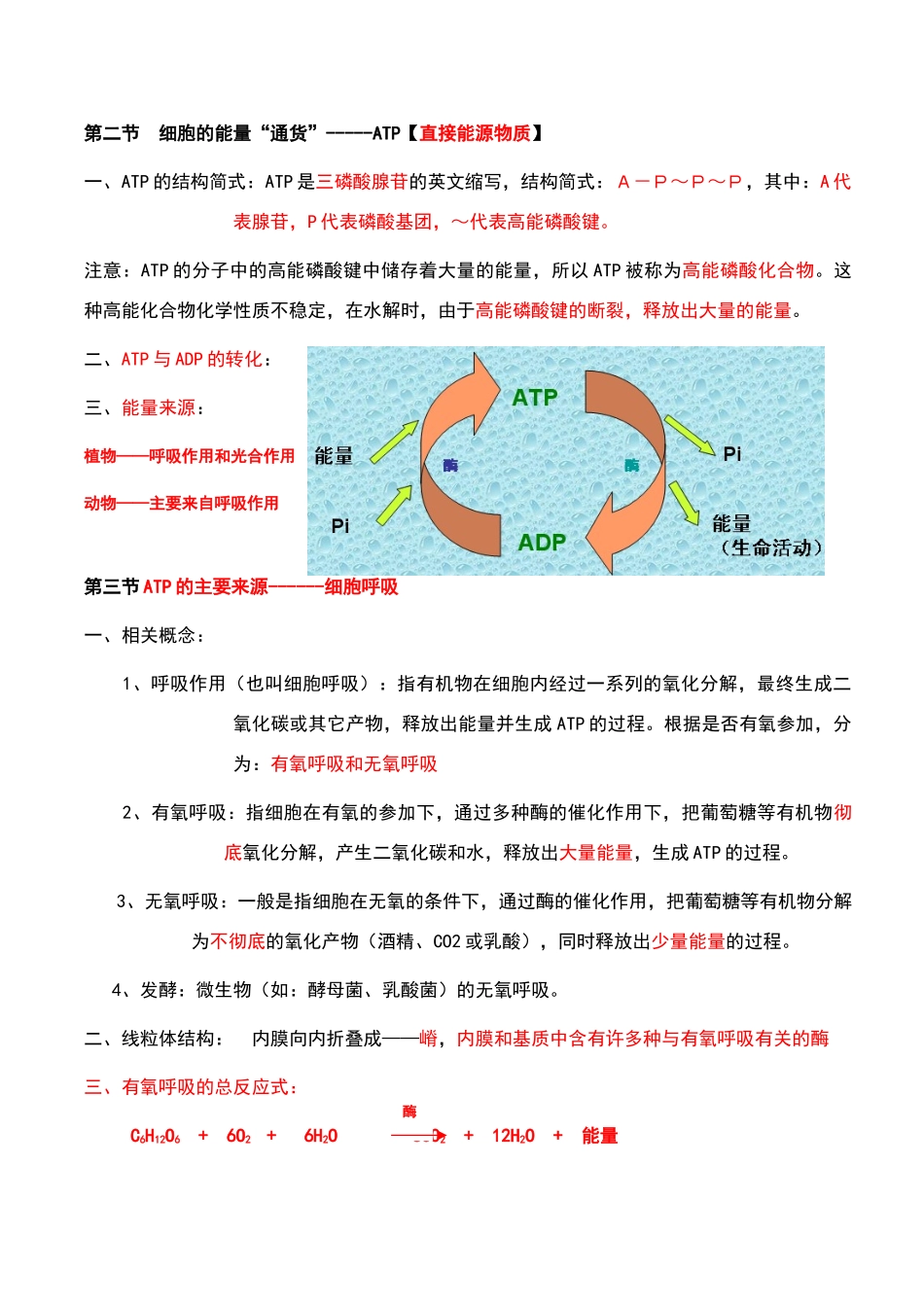 高中生物必修一第五章知识梳理_第2页