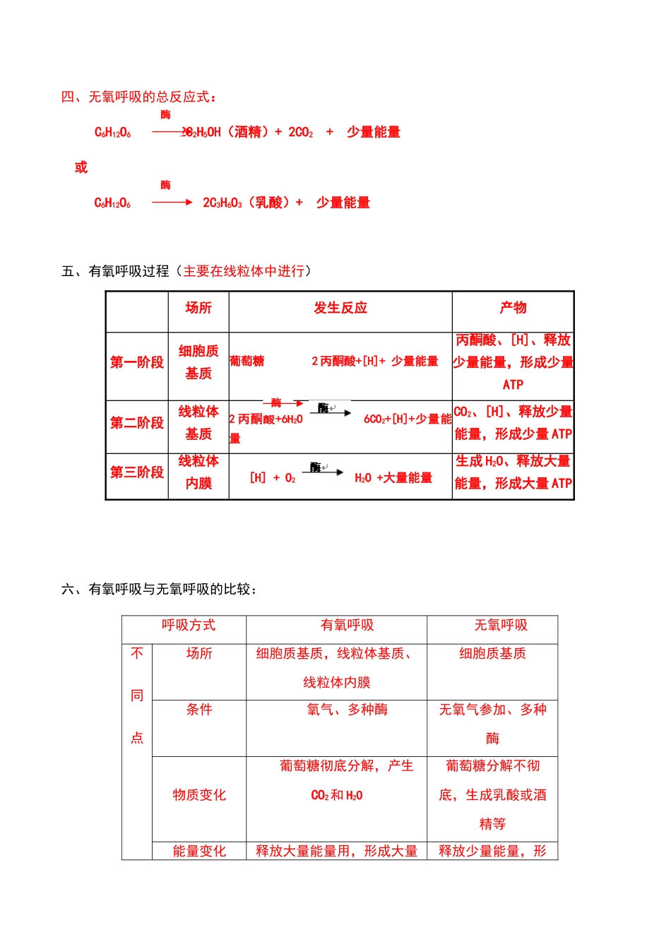 高中生物必修一第五章知识梳理_第3页