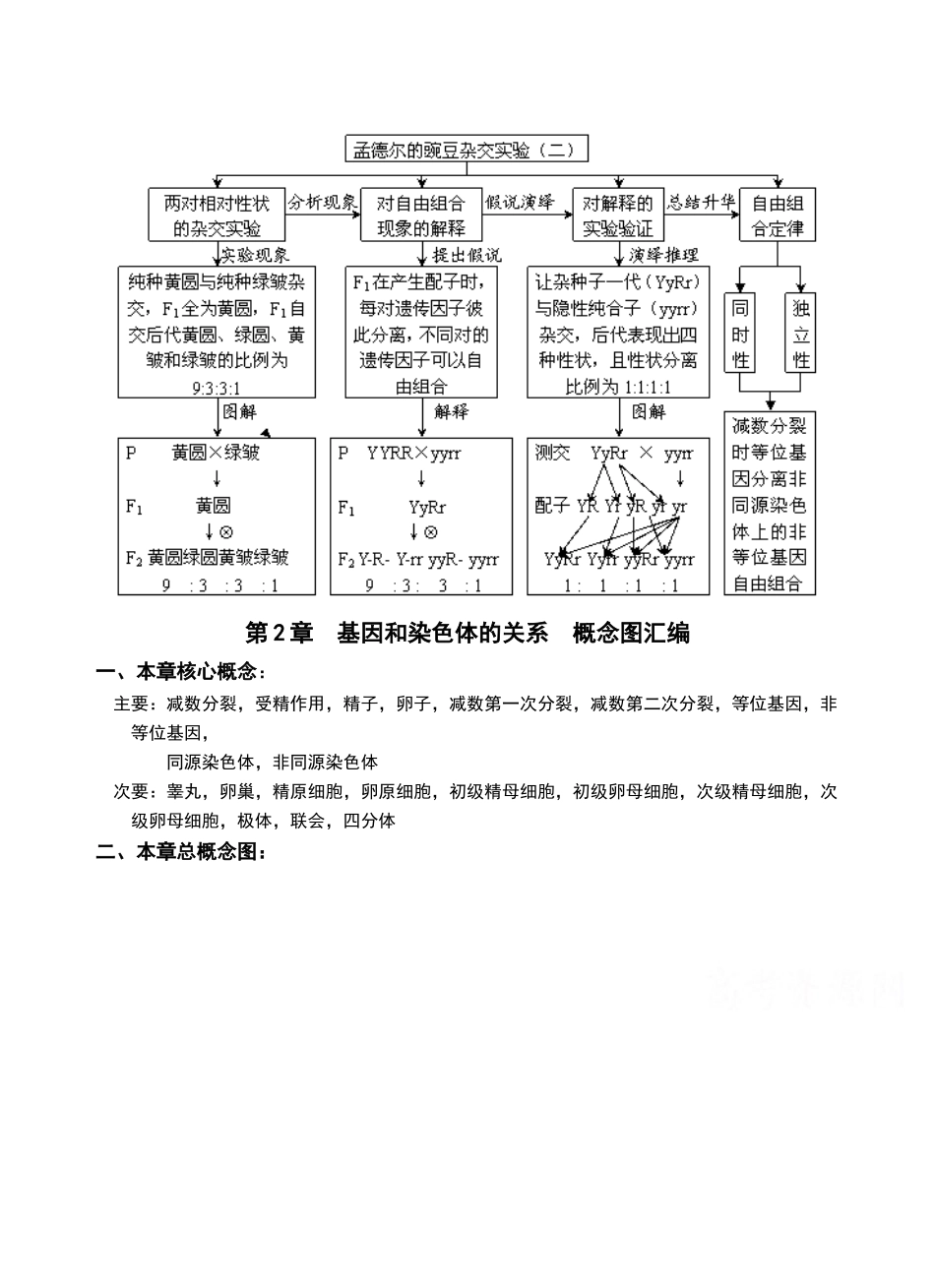 高中生物必修二遗传与进化-概念图汇编_第2页