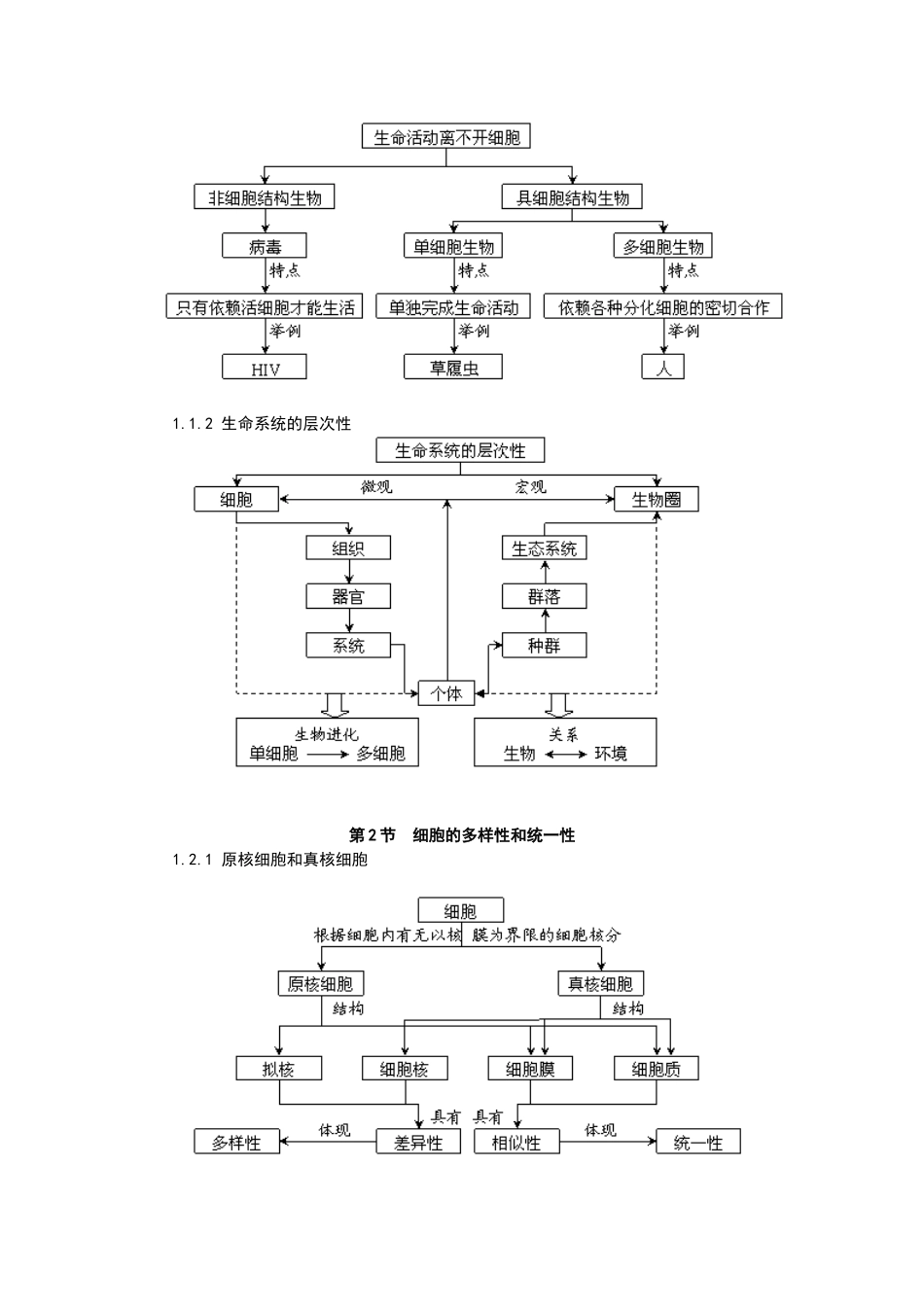 高中生物概念图汇编_第2页