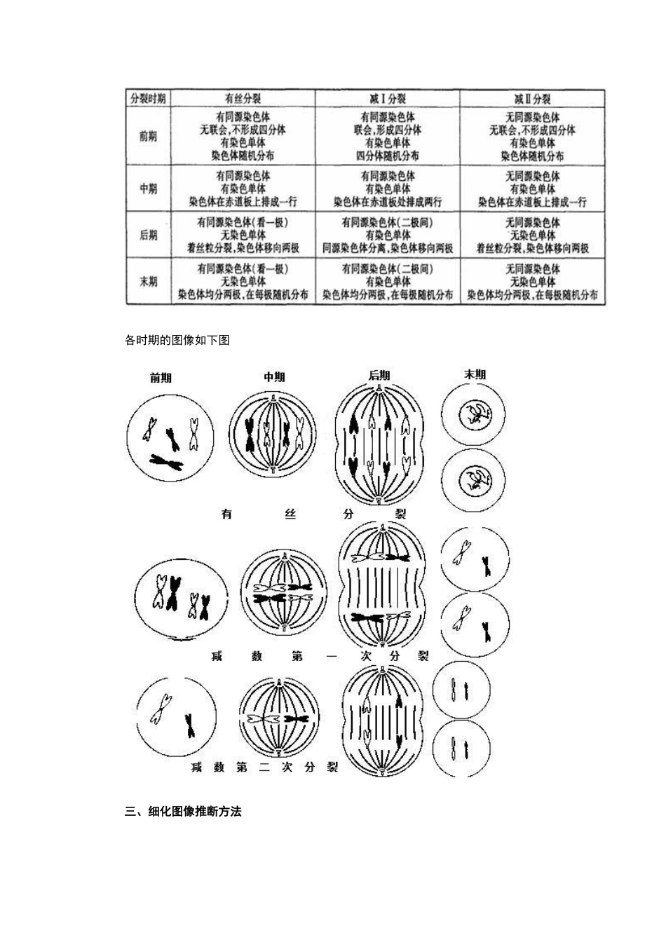 高中生物有丝分裂和减数分裂图解_第2页