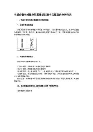 高中生物有丝分裂和减数分裂图解