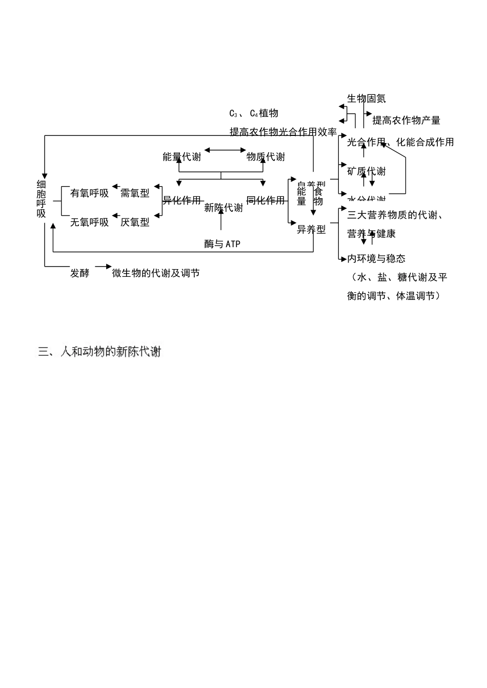 高中生物知识体系框架图_第2页