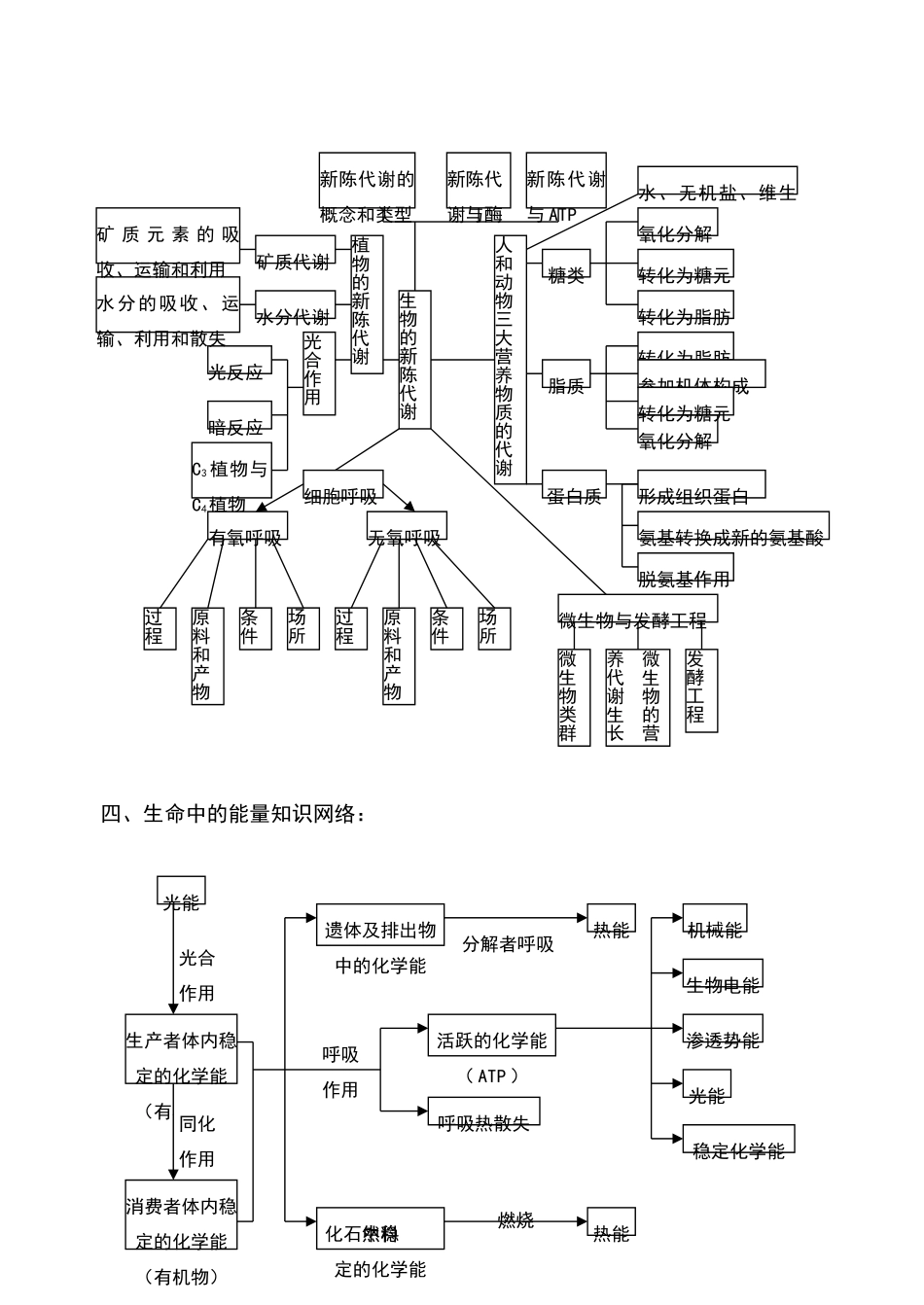 高中生物知识体系框架图_第3页