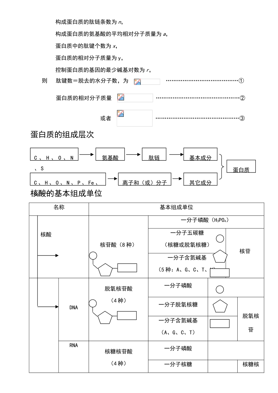 高中生物知识结构网络图_第3页