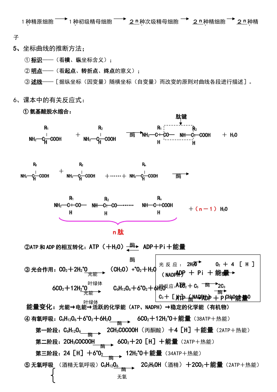 高中生物重要公式_第2页