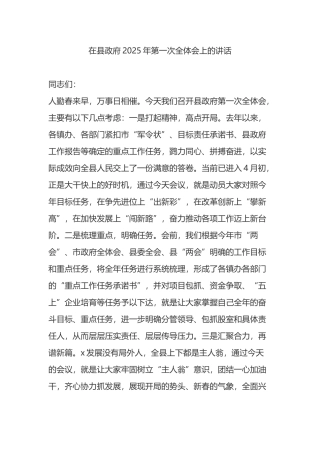 在县政府2025年第一次全体会上的讲话